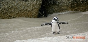 nuovo aggiornamento Google Penguin 3.0
